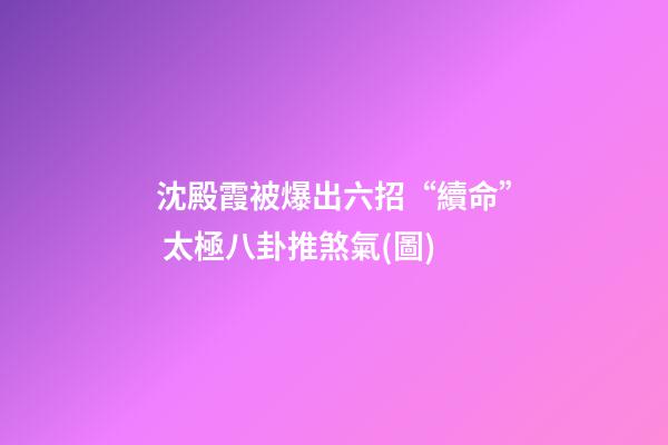 沈殿霞被爆出六招“續命” 太極八卦推煞氣(圖)